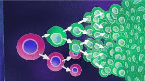 cell image