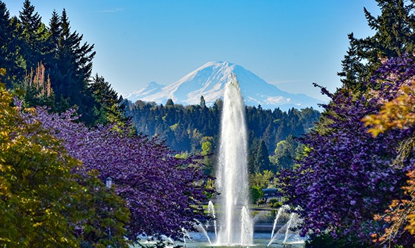 Mt Rainier and UW fountain