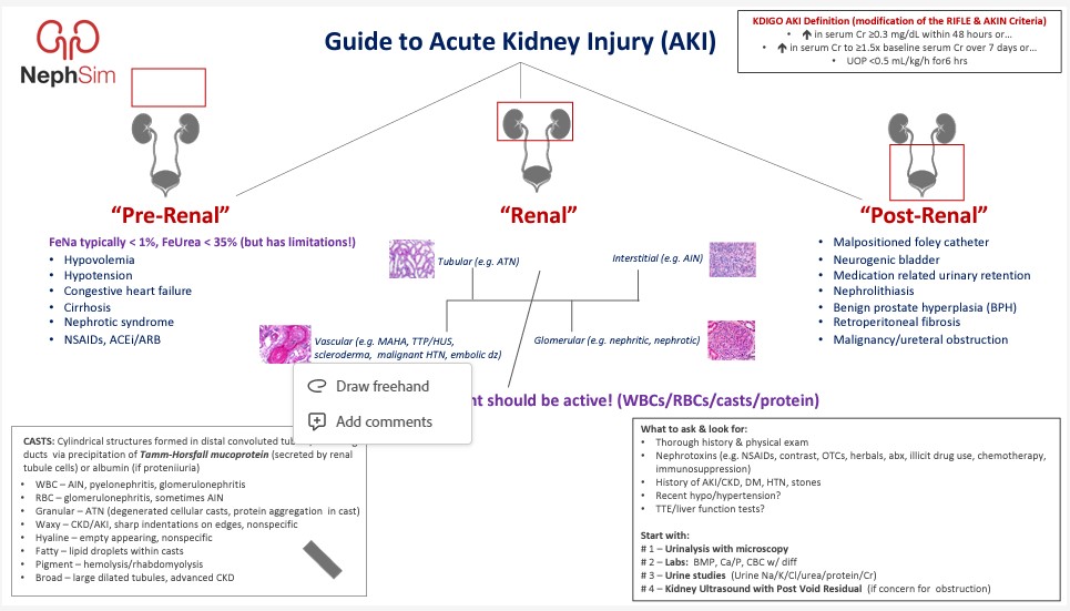 Acute Kidney Injury