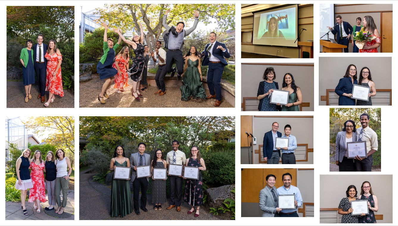 Graduation photo collage