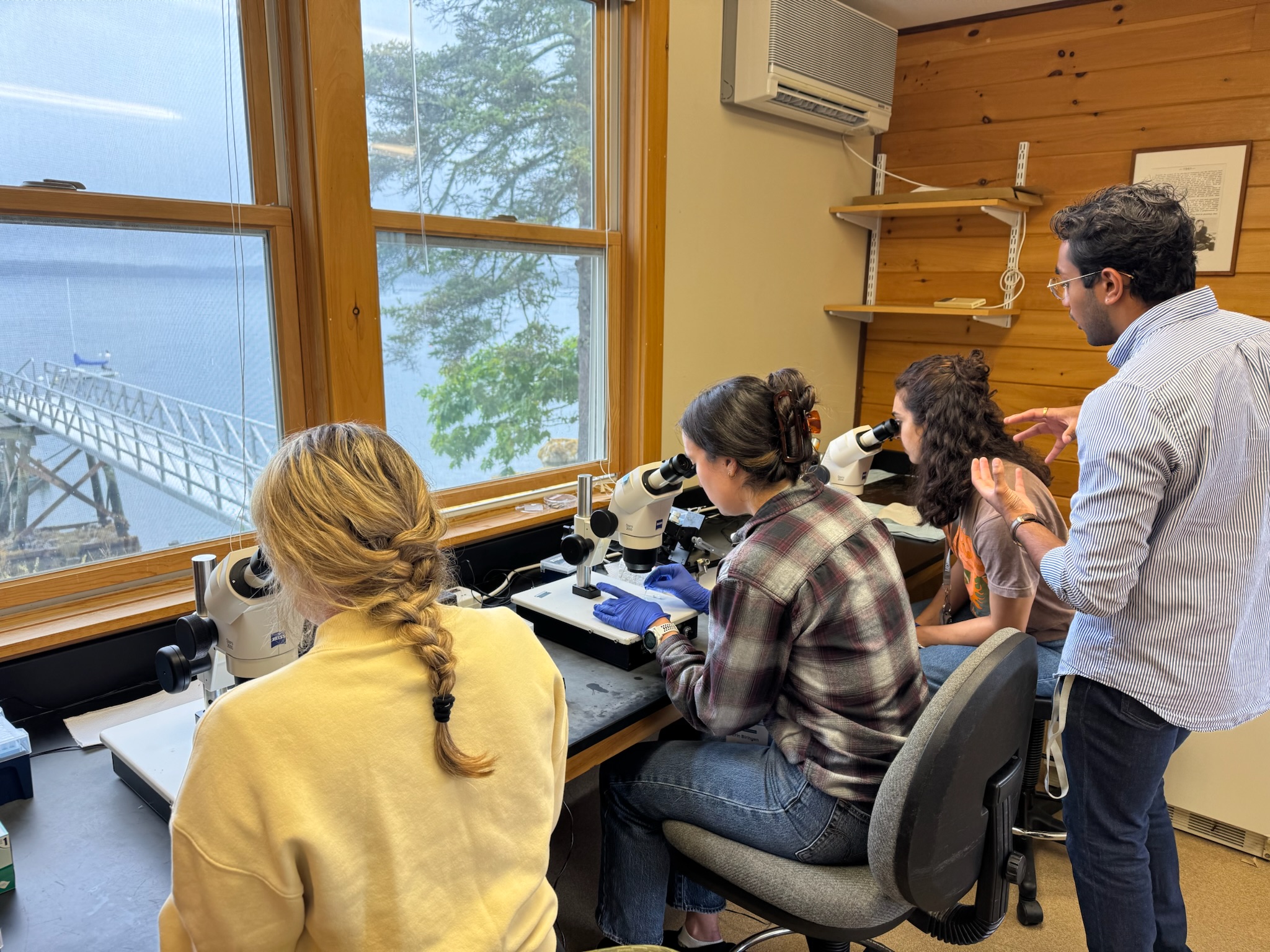 fellows looking thru microscopes